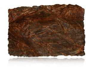 Rain Forest Brown Exotic
